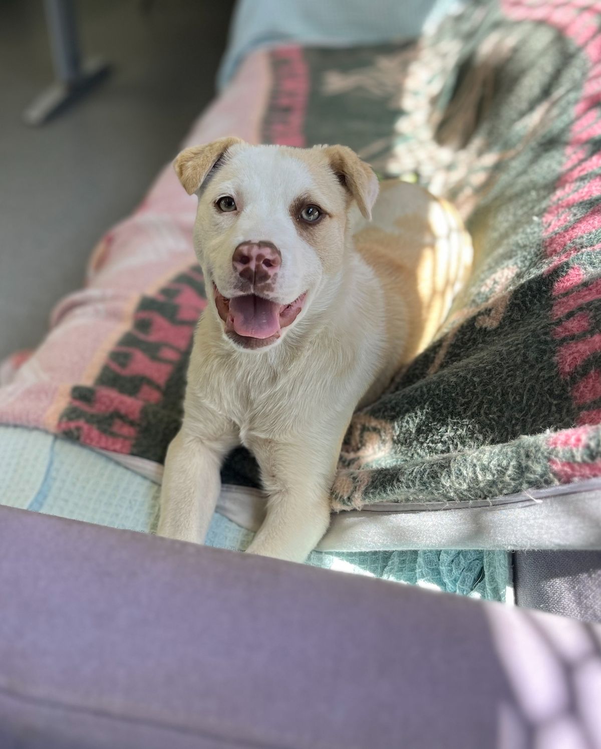 Gallery image: Marley