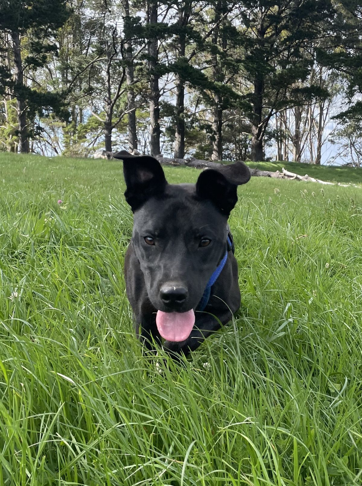 Gallery image: Jackson