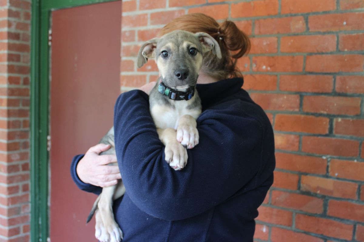 Gallery image: Frank