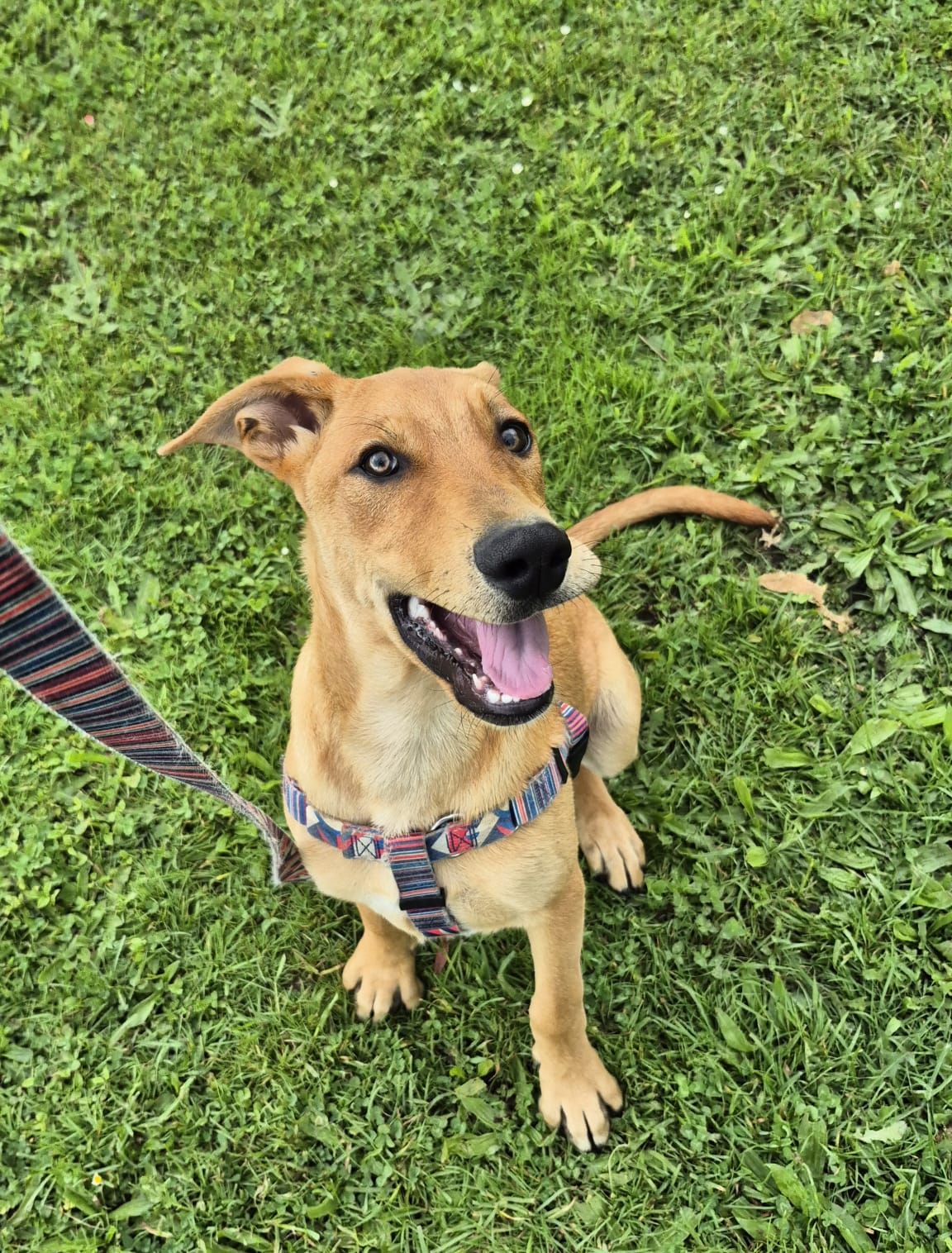 Gallery image: Pretzel