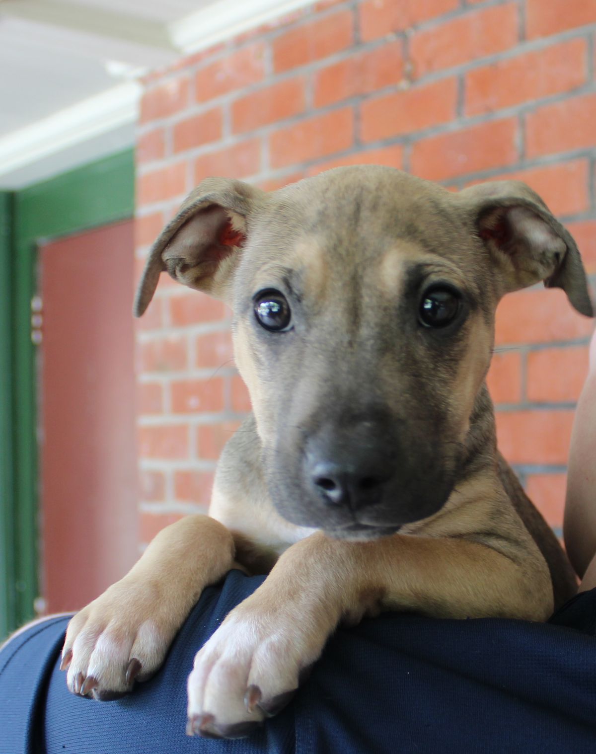 Gallery image: Salem