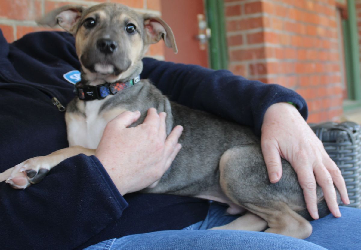 Gallery image: Frank