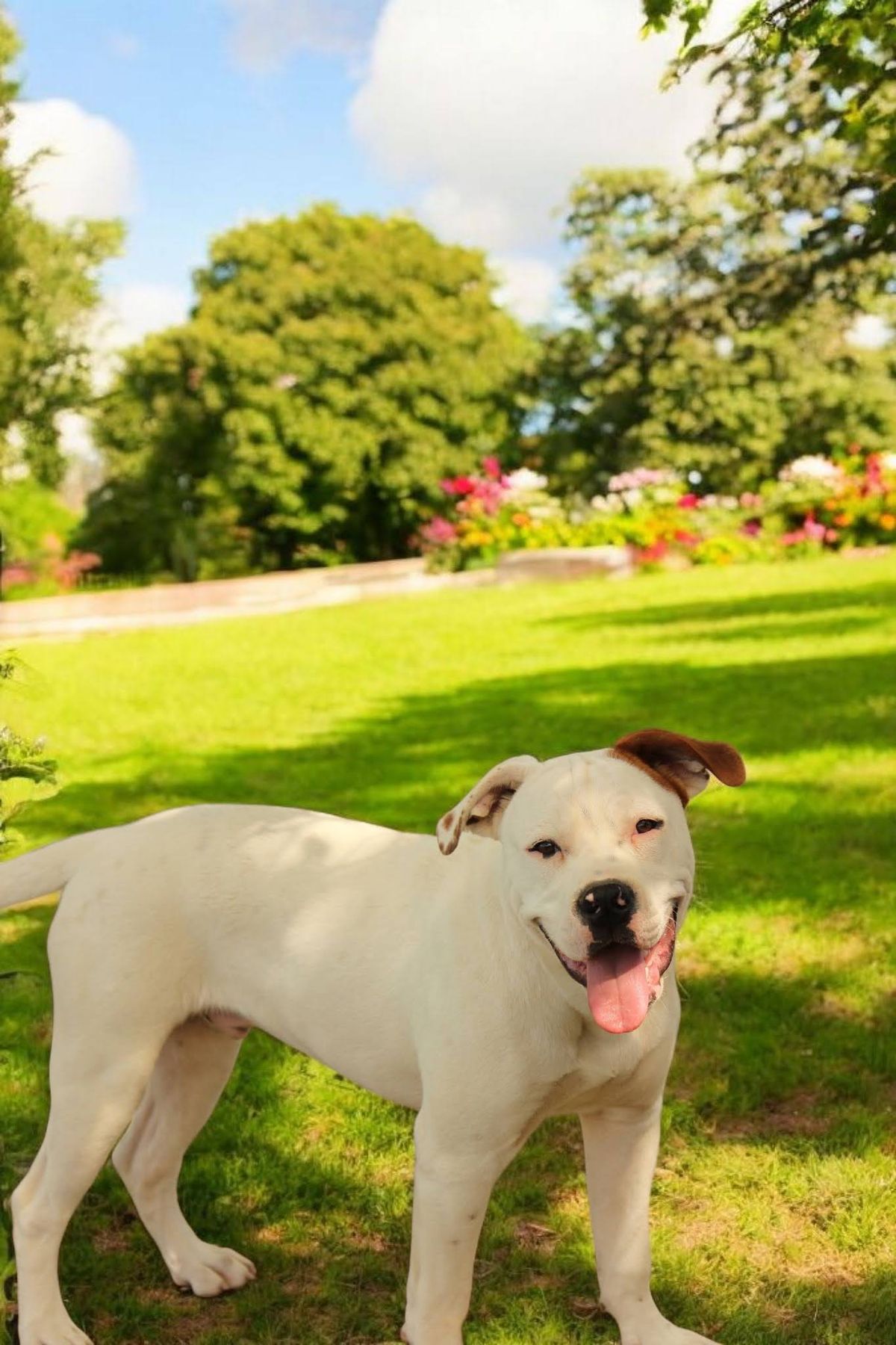 Gallery image: Henry