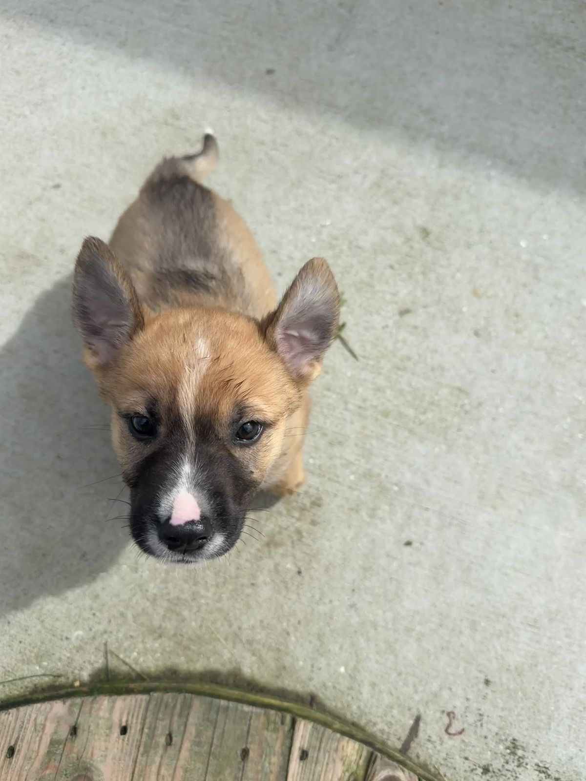 Gallery image: Louis