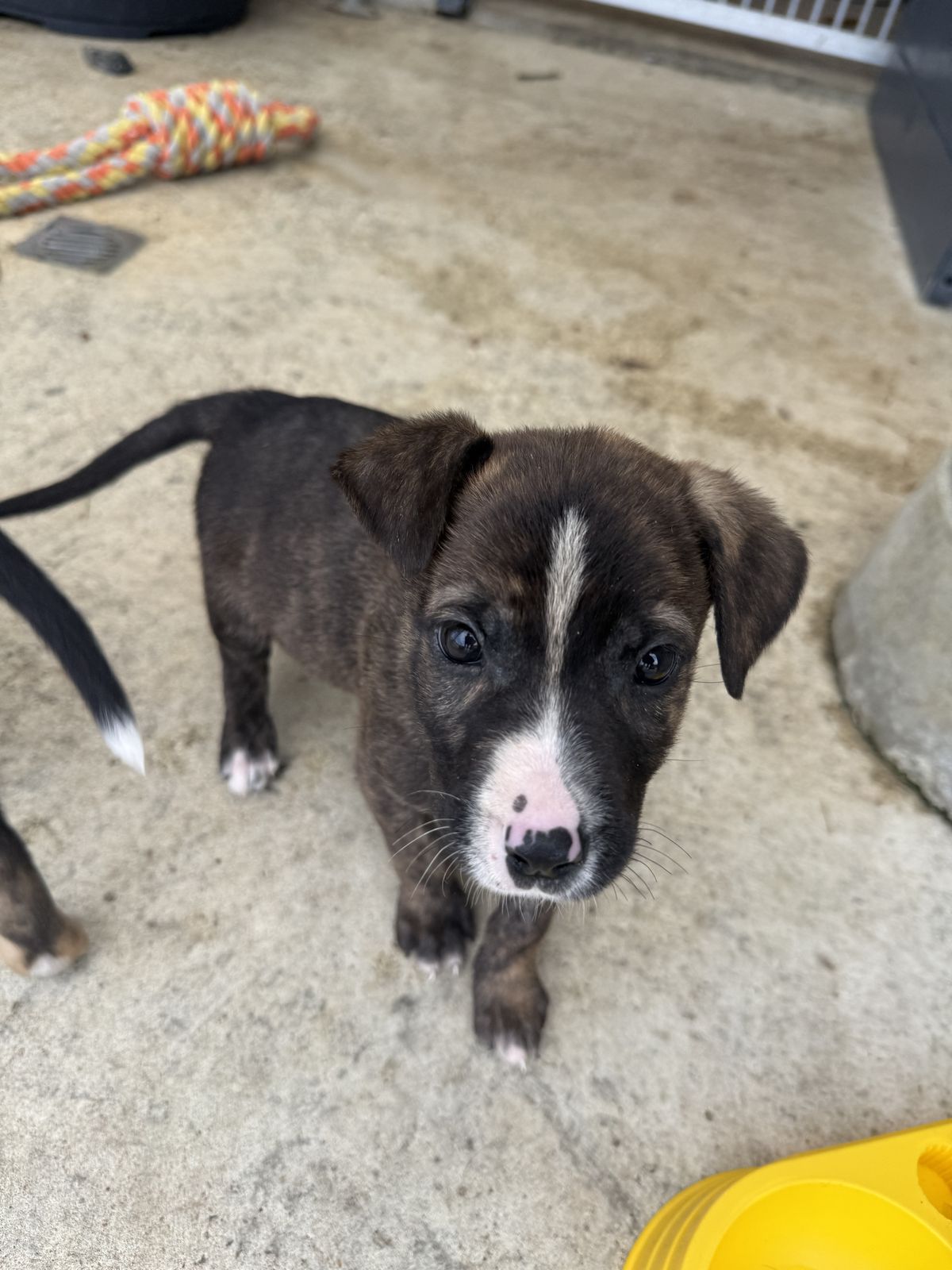 Gallery image: Gucci