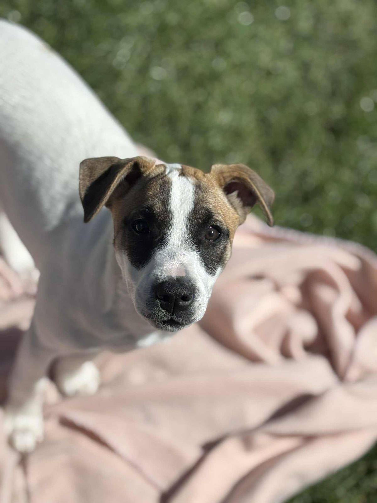 Gallery image: Birdie