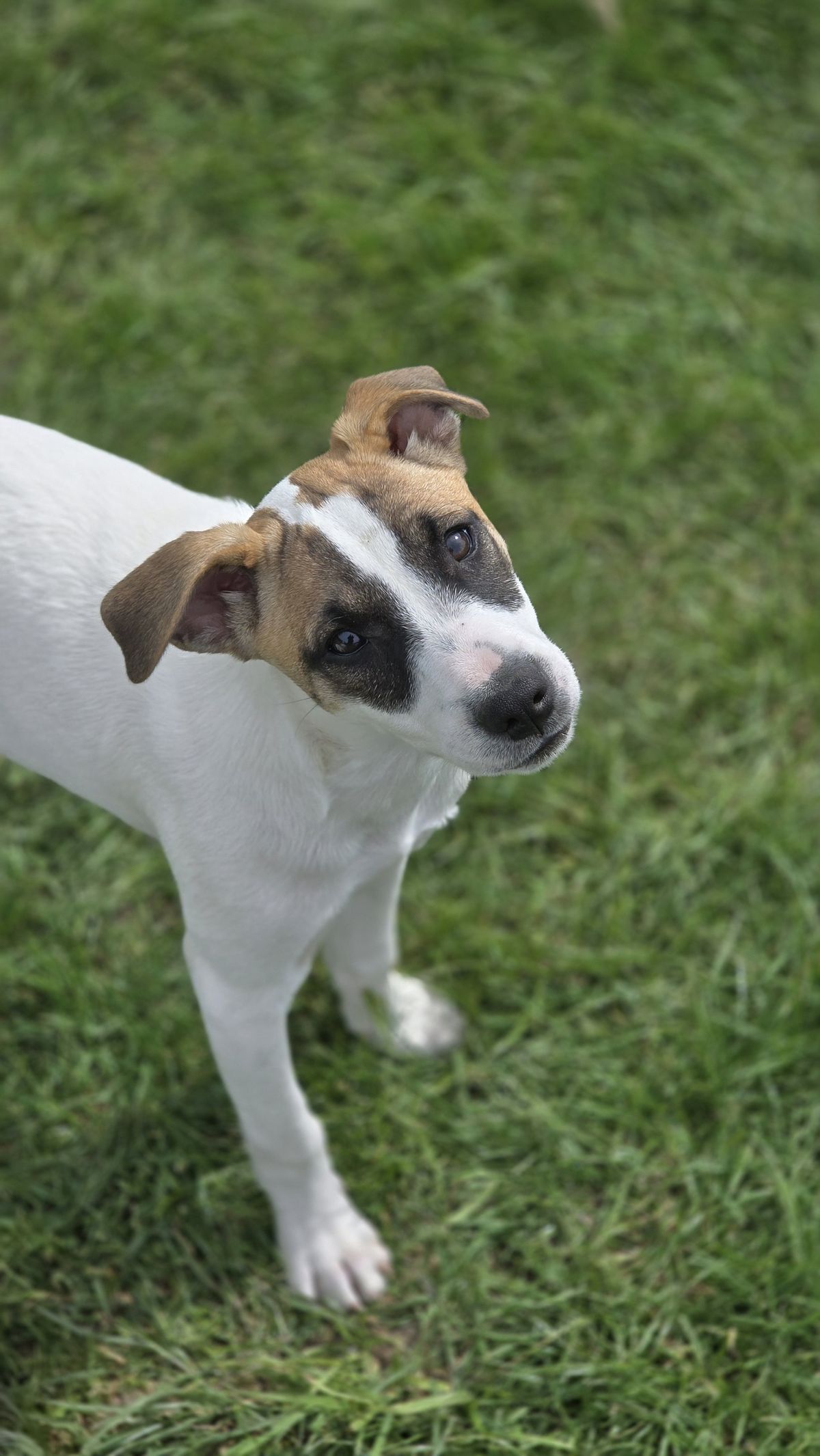 Gallery image: Birdie