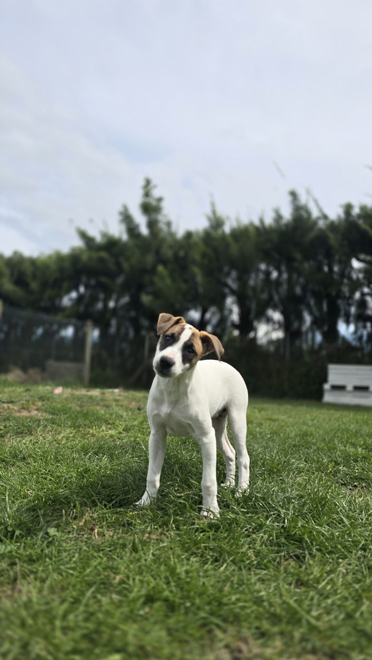 Gallery image: Birdie