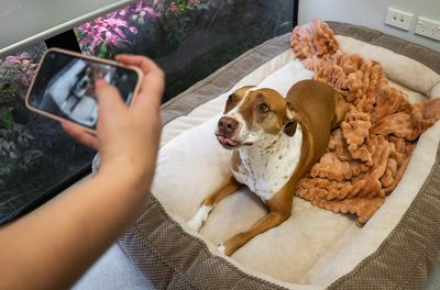 Specialist Volunteer