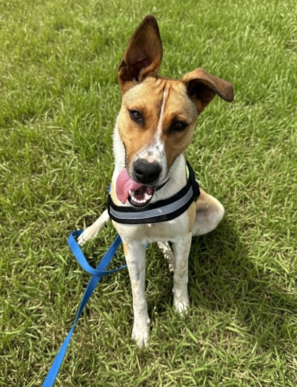 Gallery image: Johnny