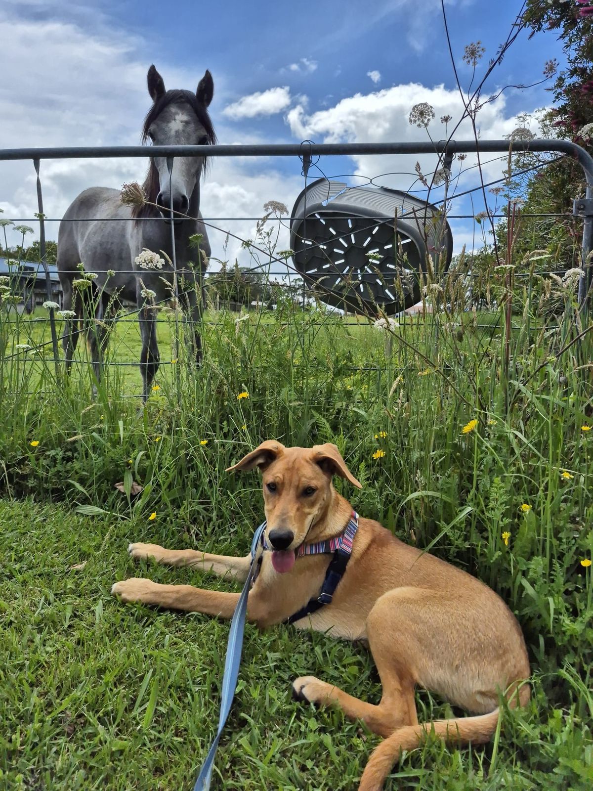 Gallery image: Pretzel