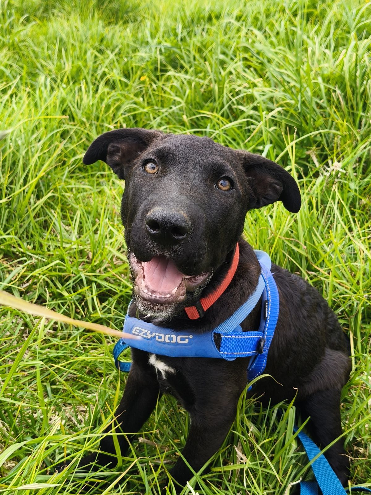 Gallery image: Maggie