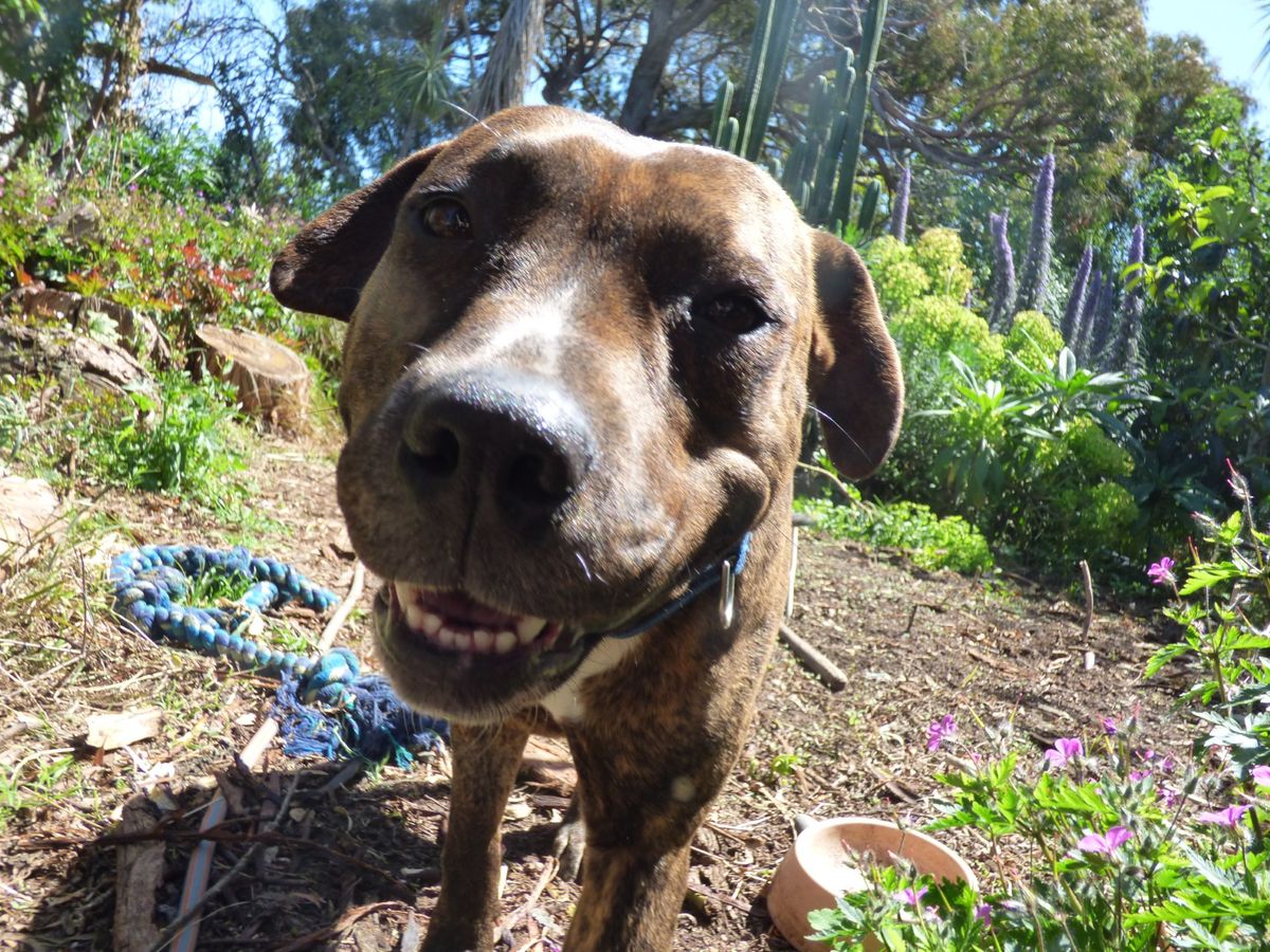 Gallery image: Nirvana