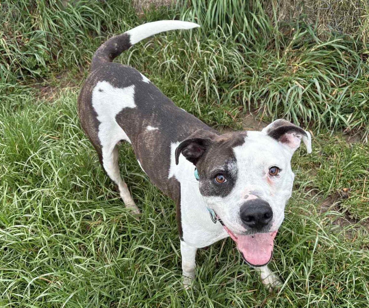 Gallery image: Haiden