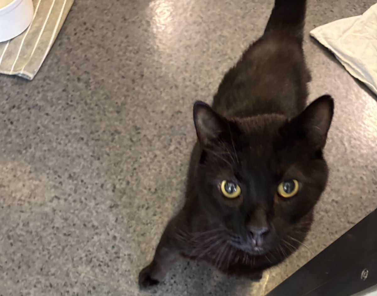 Gallery image: Leroy