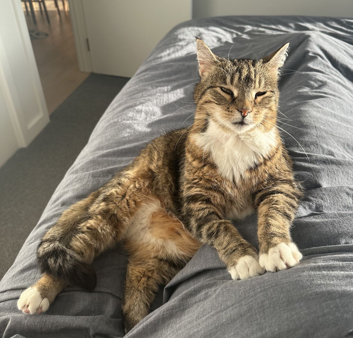 Gallery image: Charlie