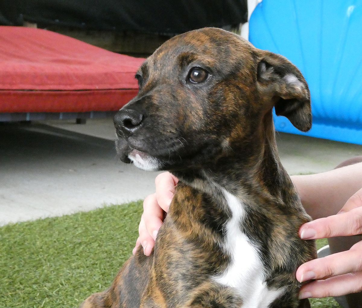 Gallery image: Ghibli