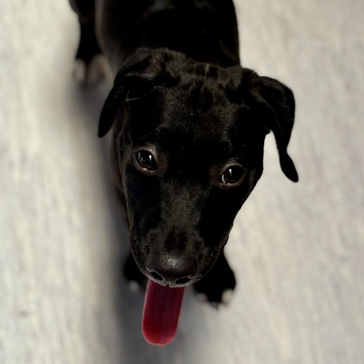 Gallery image: Randy