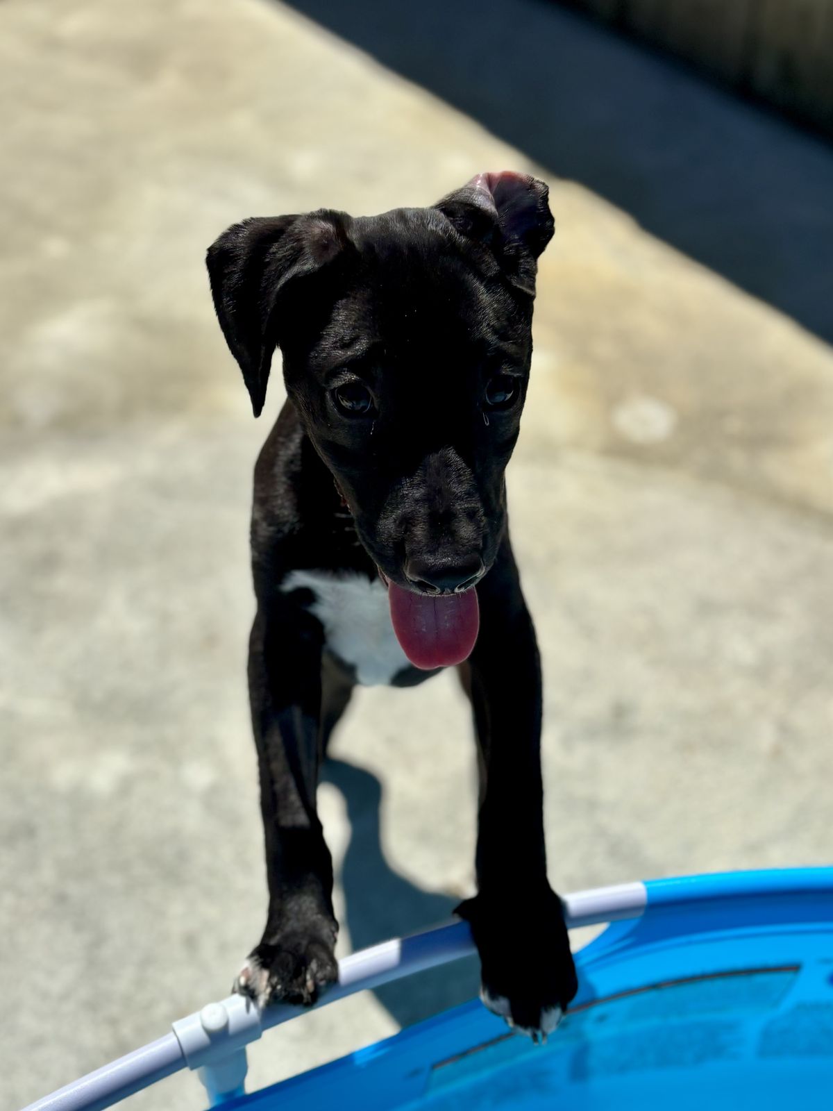 Gallery image: Randy