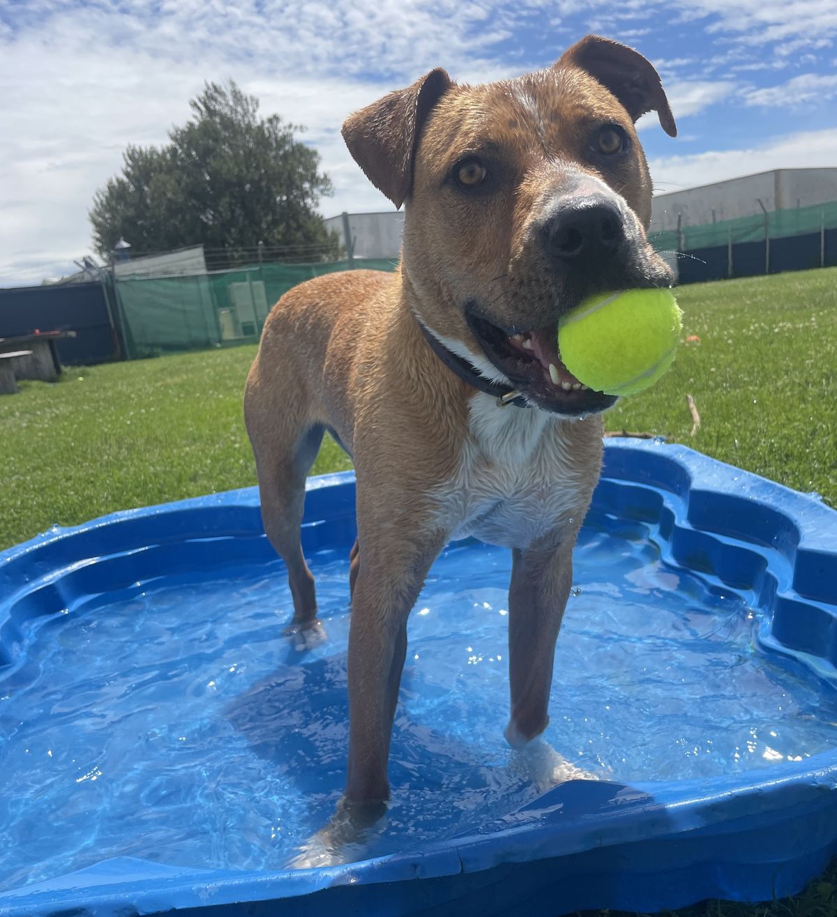 Gallery image: Stubbs 