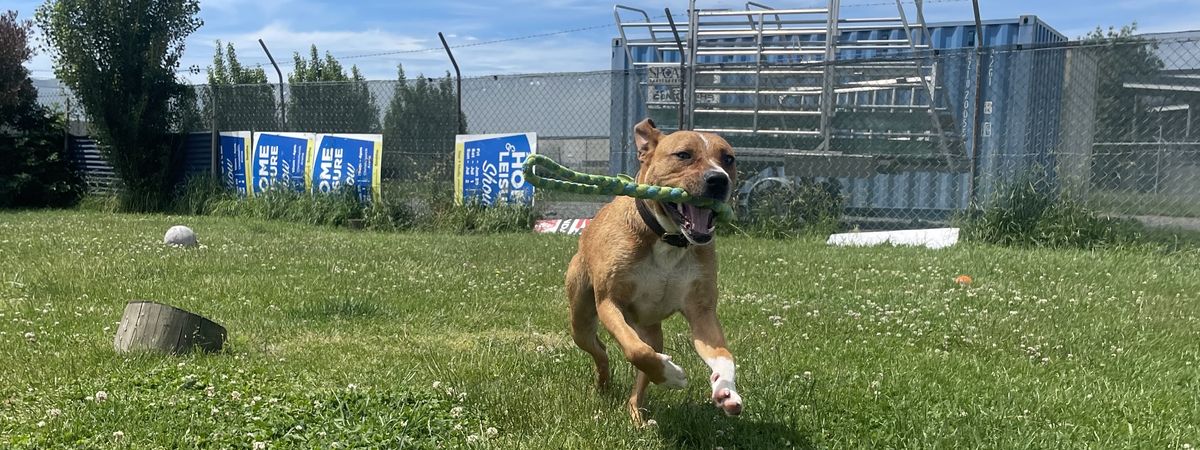 Gallery image: Stubbs 