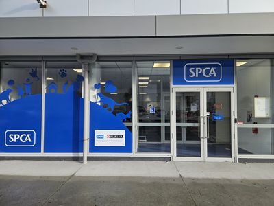 SPCA Hobsonville Centre to host community Open Day 