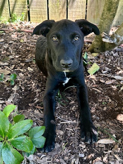 Gallery image: Maggie