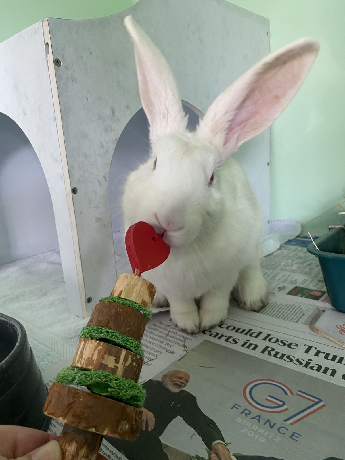 Gallery image: Serenity