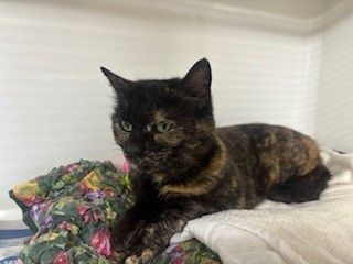 Gallery image: Delilah