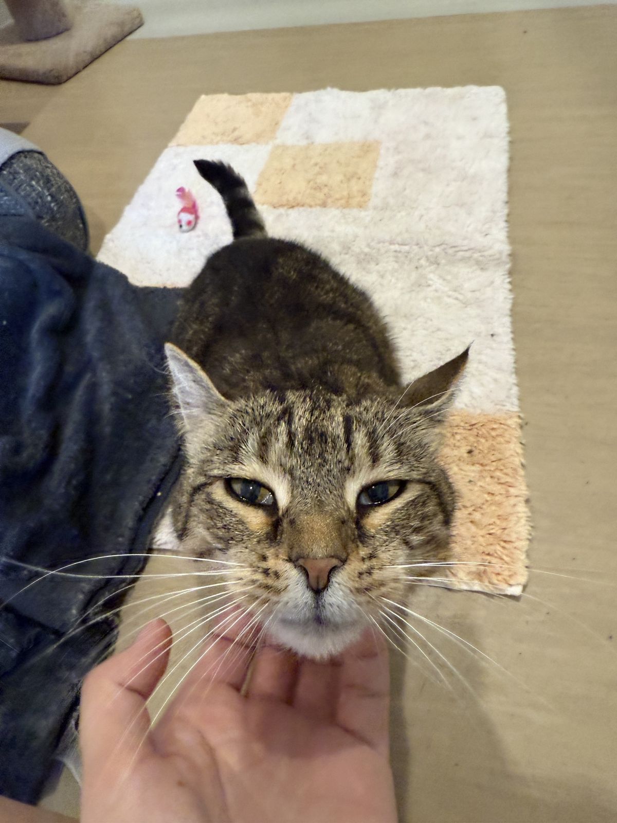 Gallery image: Charlie