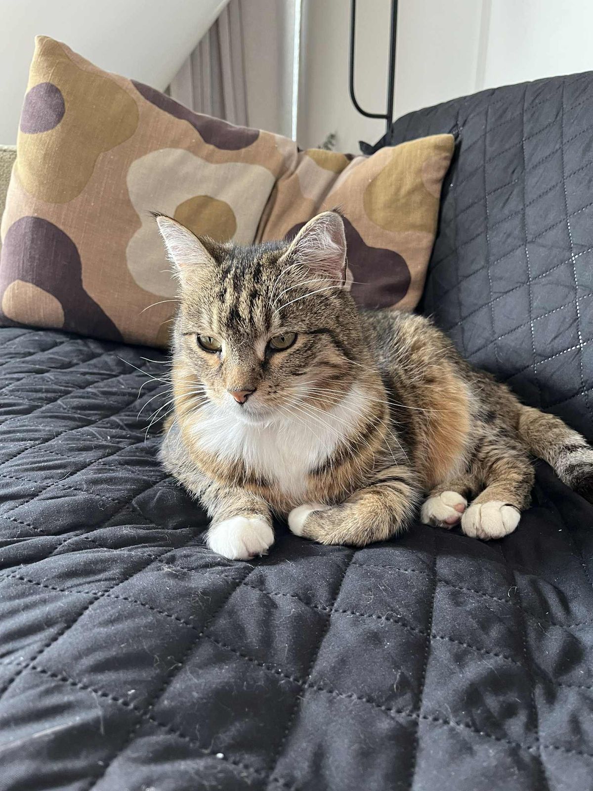 Gallery image: Charlie