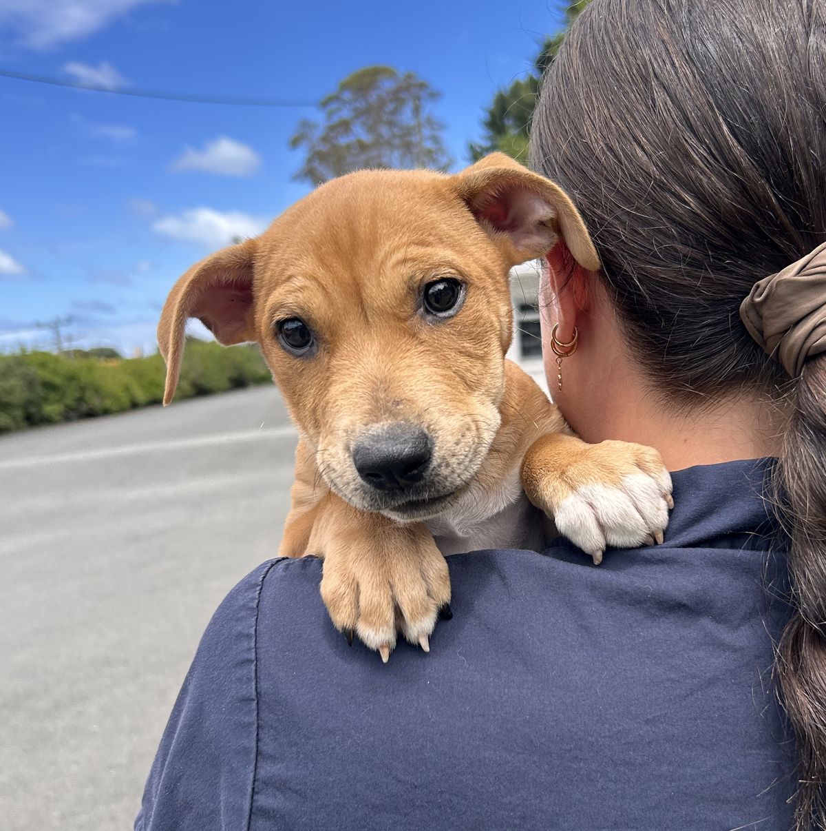 Gallery image: Honey