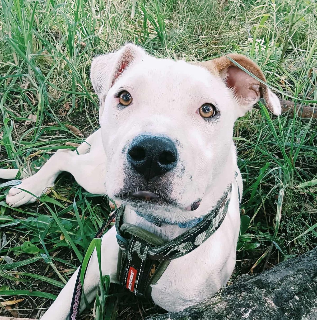 Gallery image: Storm