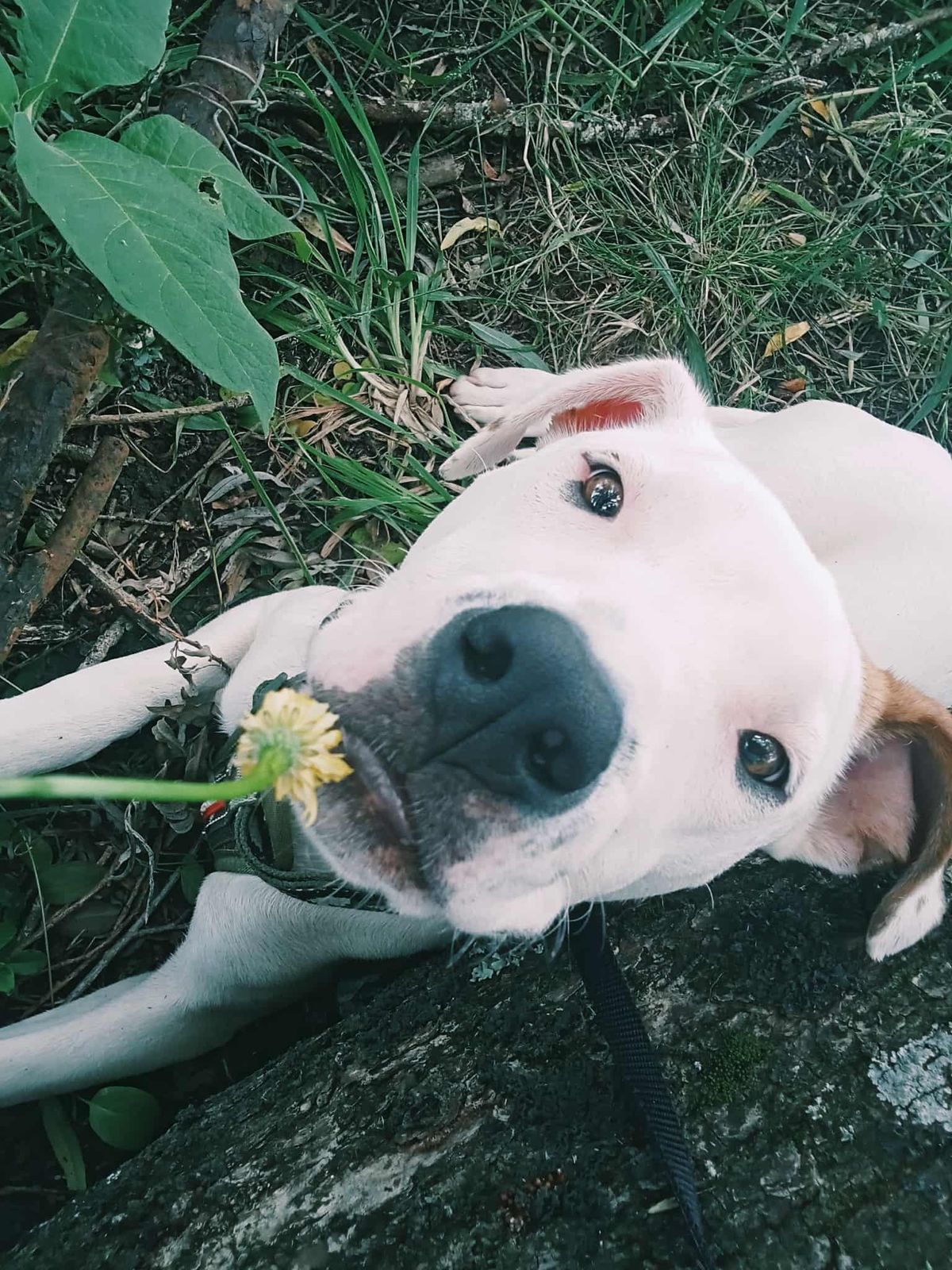 Gallery image: Storm