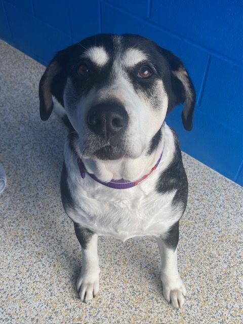 Gallery image: Mildred