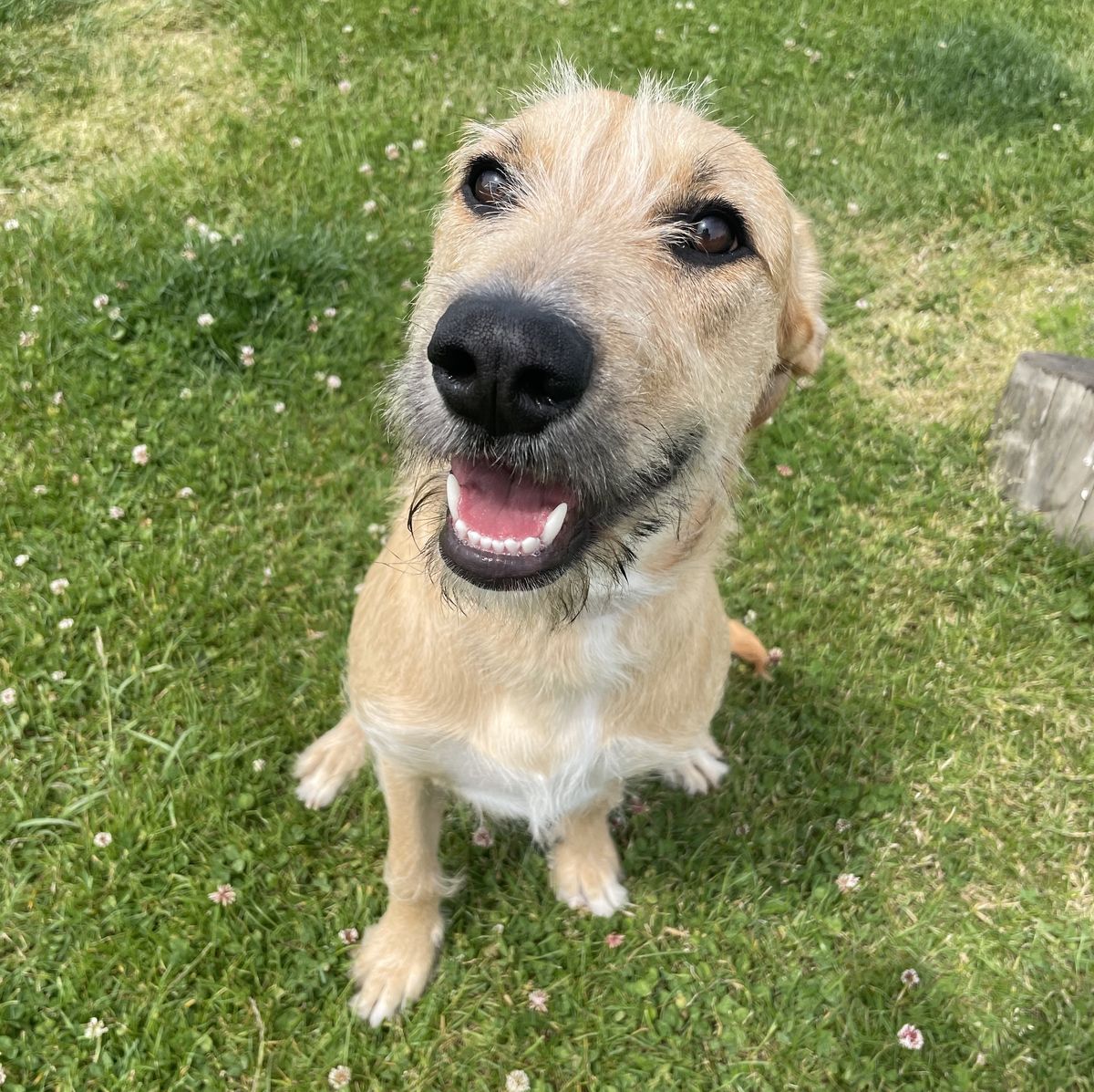 Gallery image: Annie