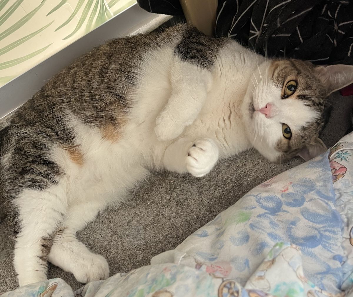 Gallery image: Aunt Lil