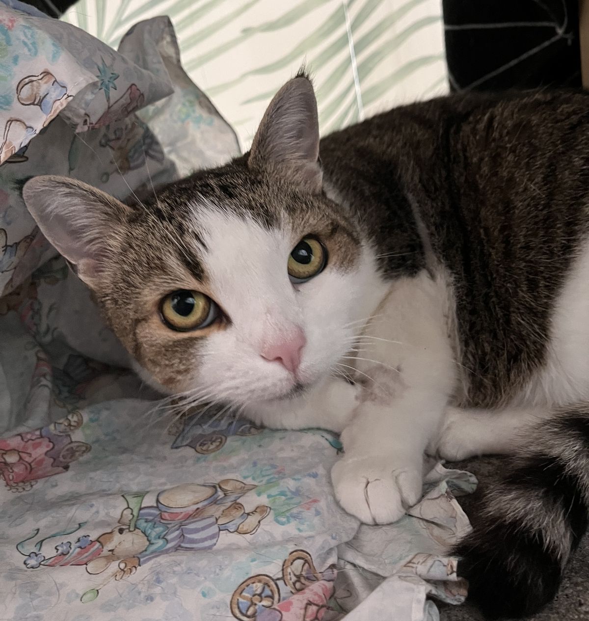 Gallery image: Aunt Lil