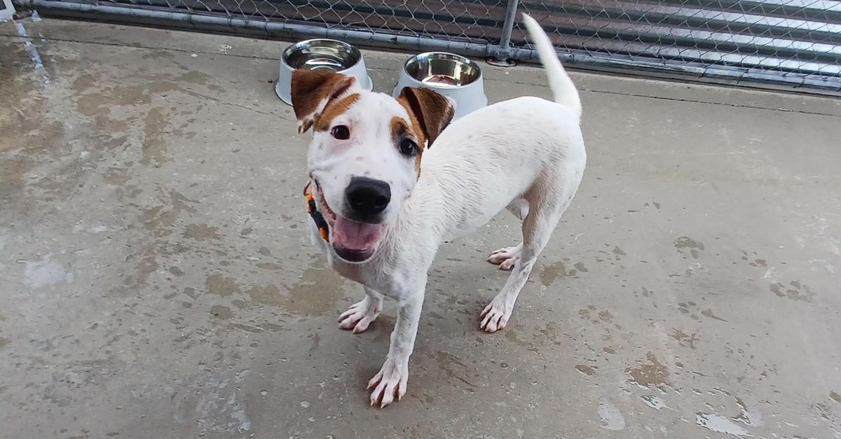 Gallery image: Jordie