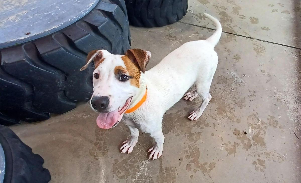 Gallery image: Jordie