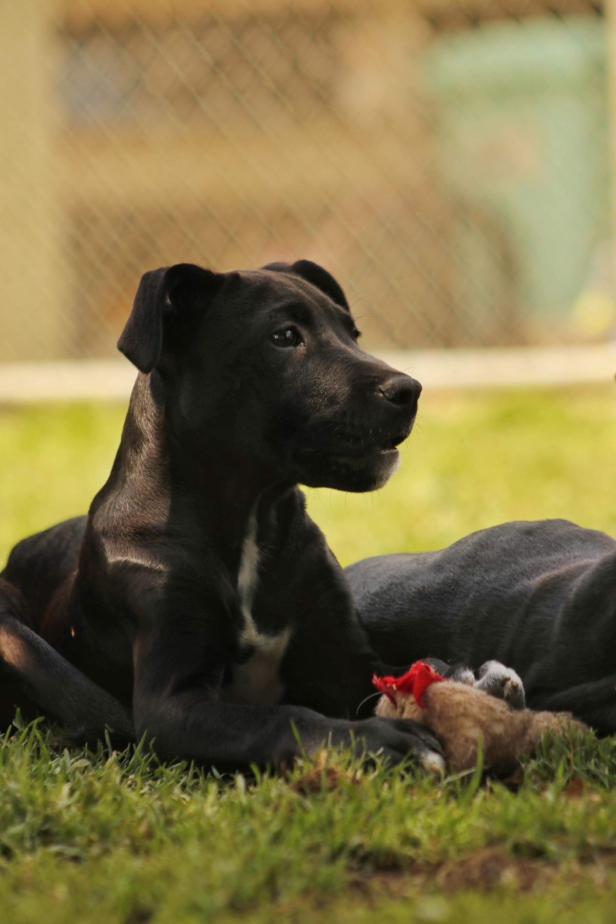 Gallery image: Victoria