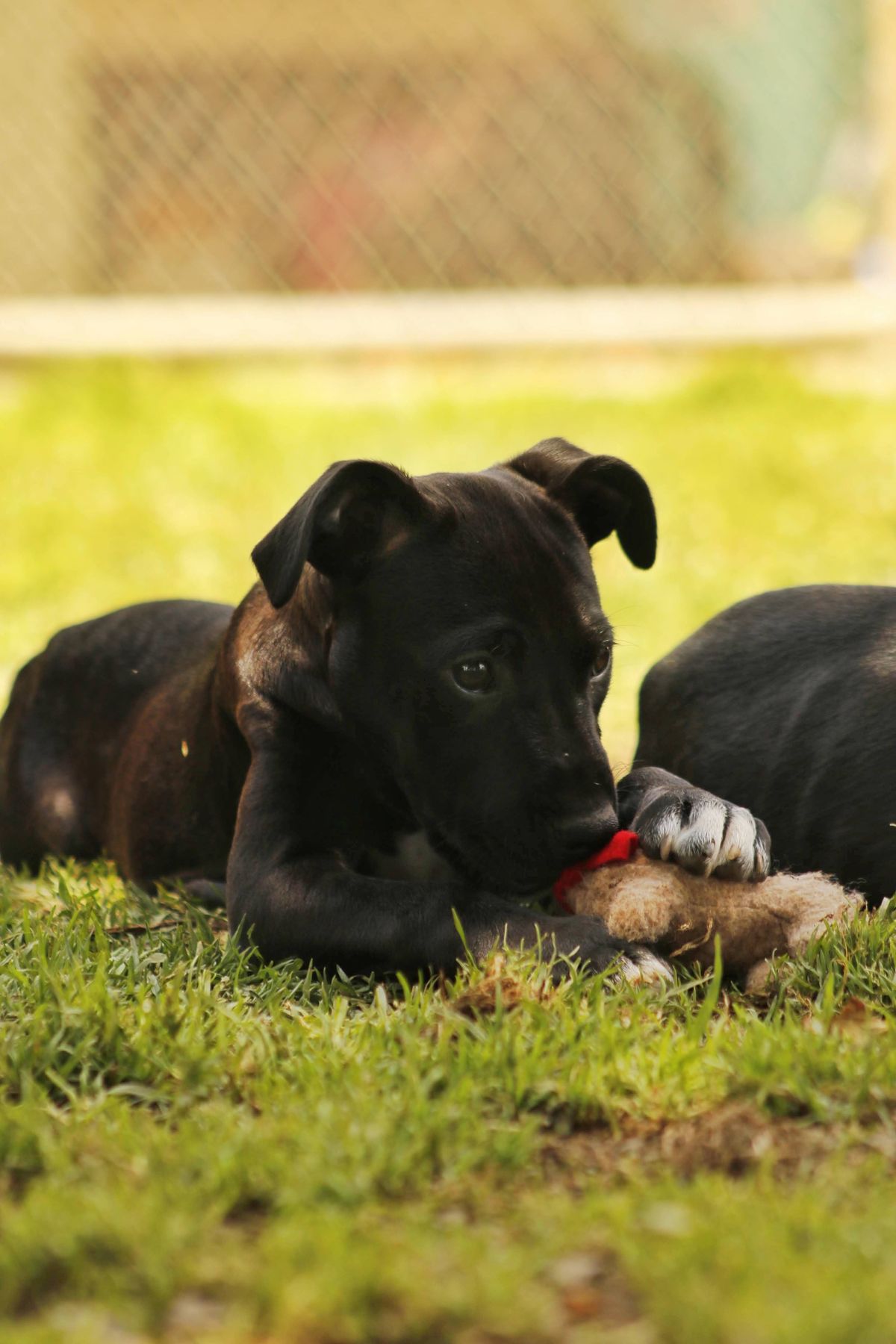 Gallery image: Victoria