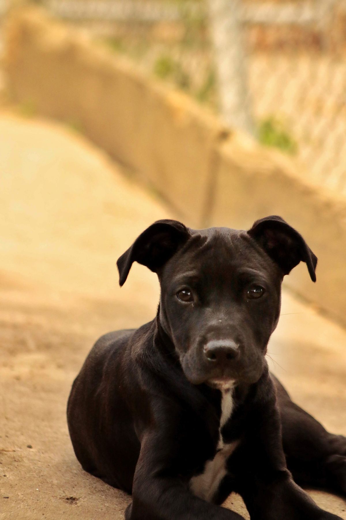 Gallery image: Victoria