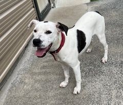 Gallery image: Sassy