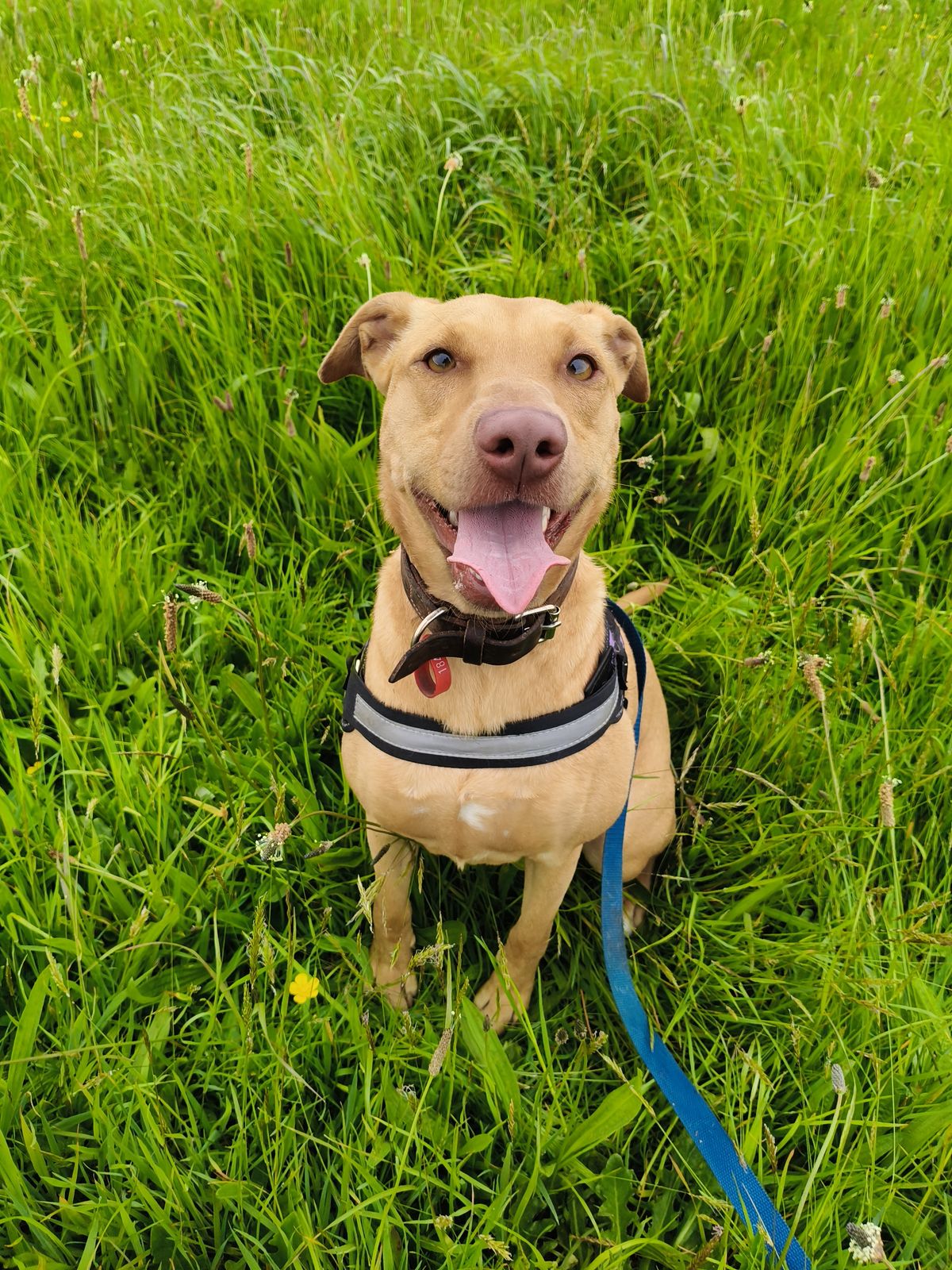 Gallery image: Bella