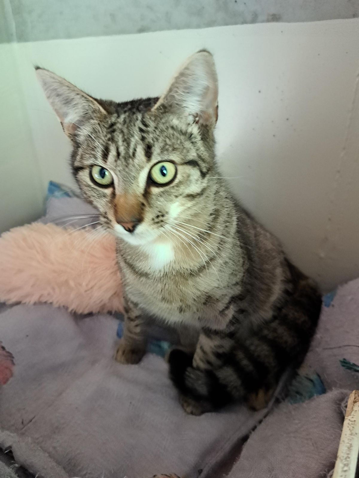 Gallery image: Harper