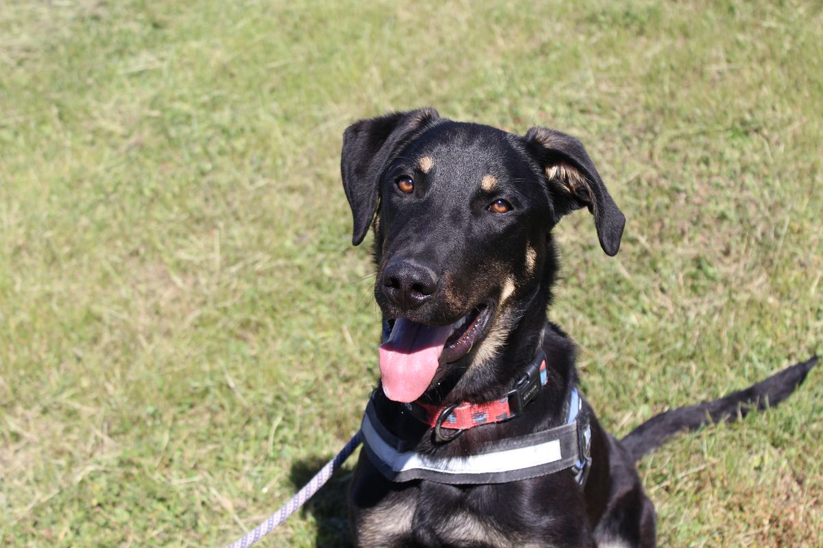 Gallery image: Tanggol