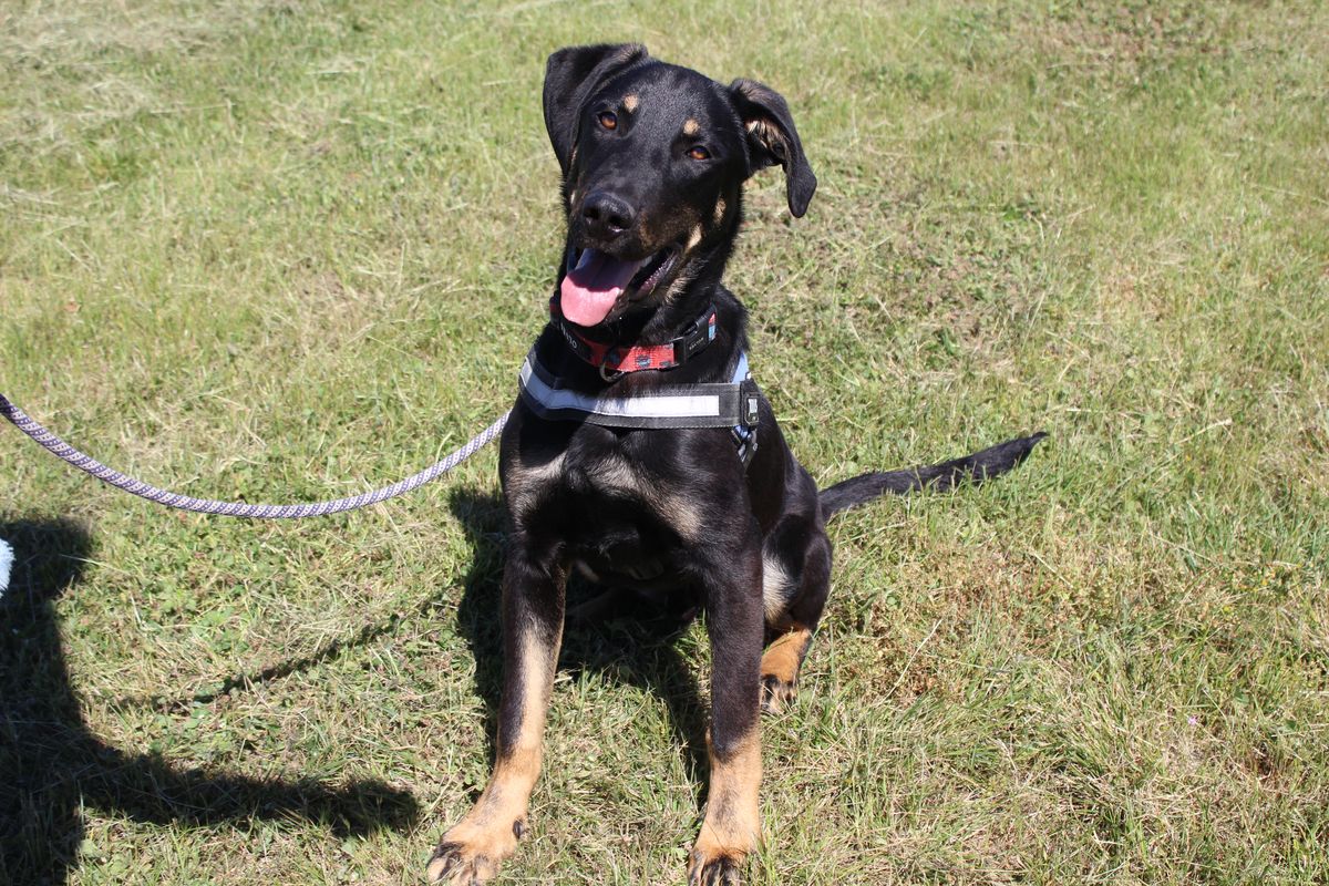 Gallery image: Tanggol