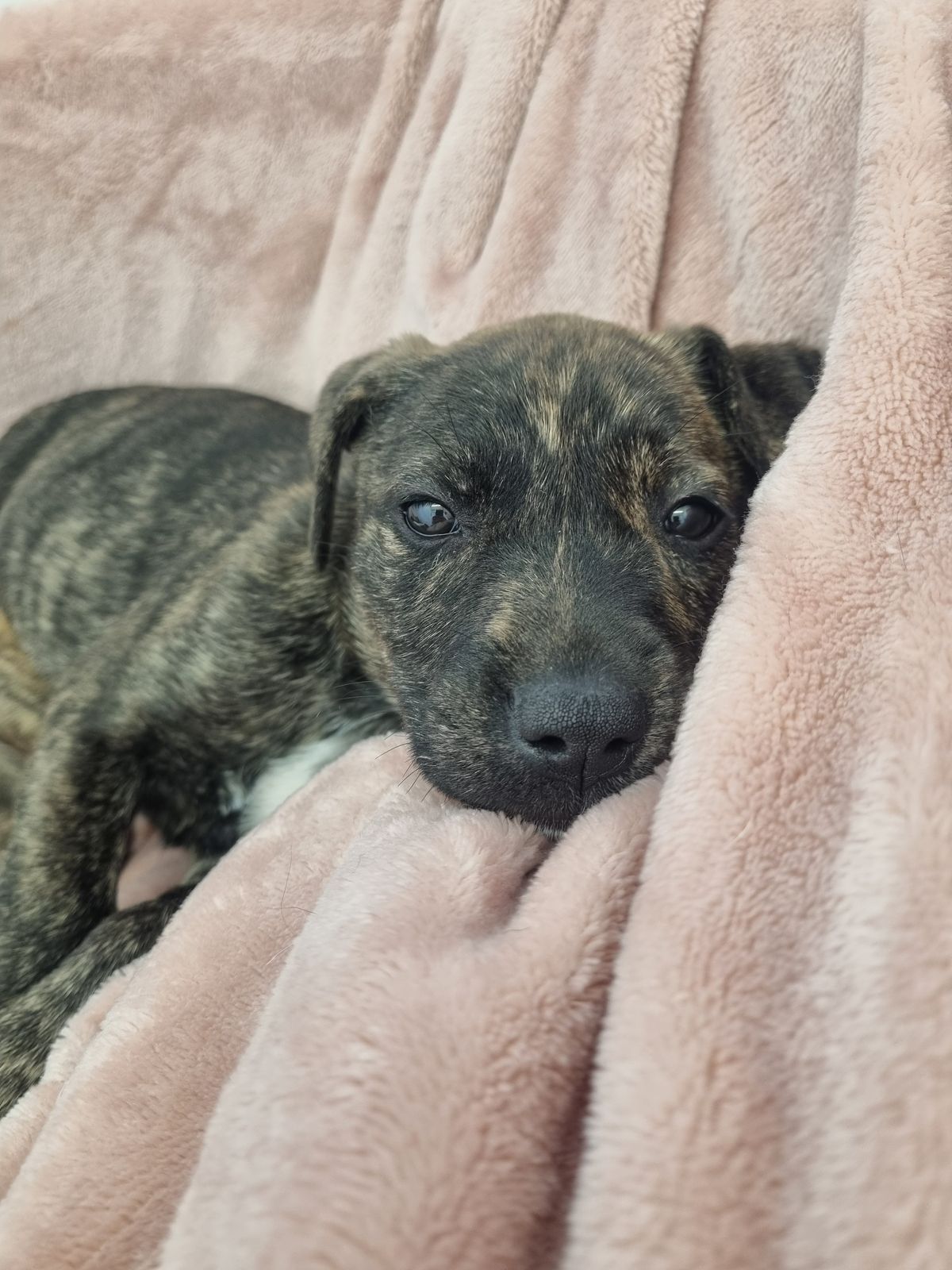 Gallery image: Winnie