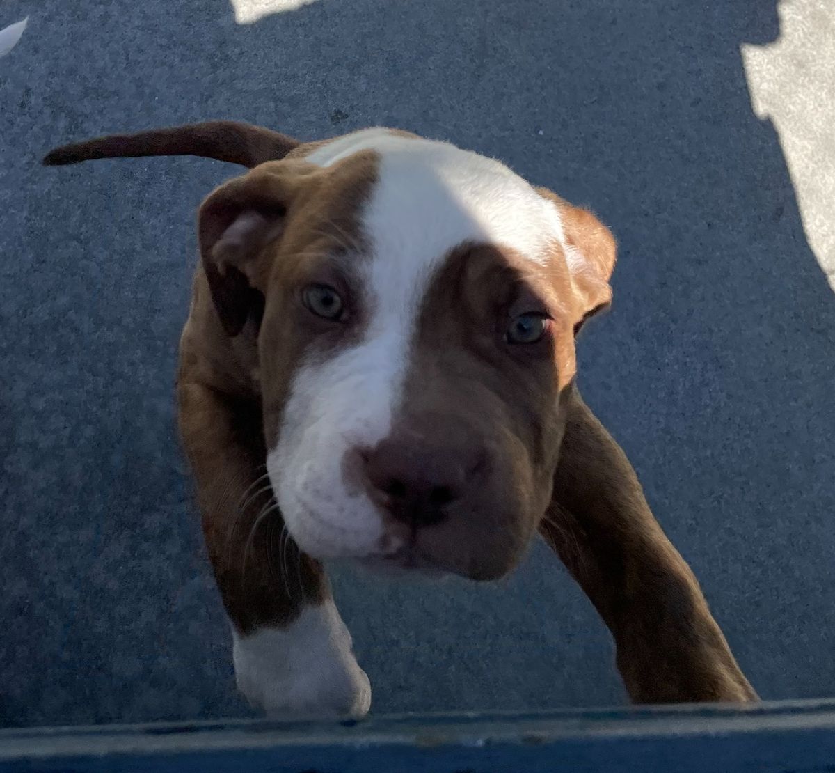 Gallery image: Boston